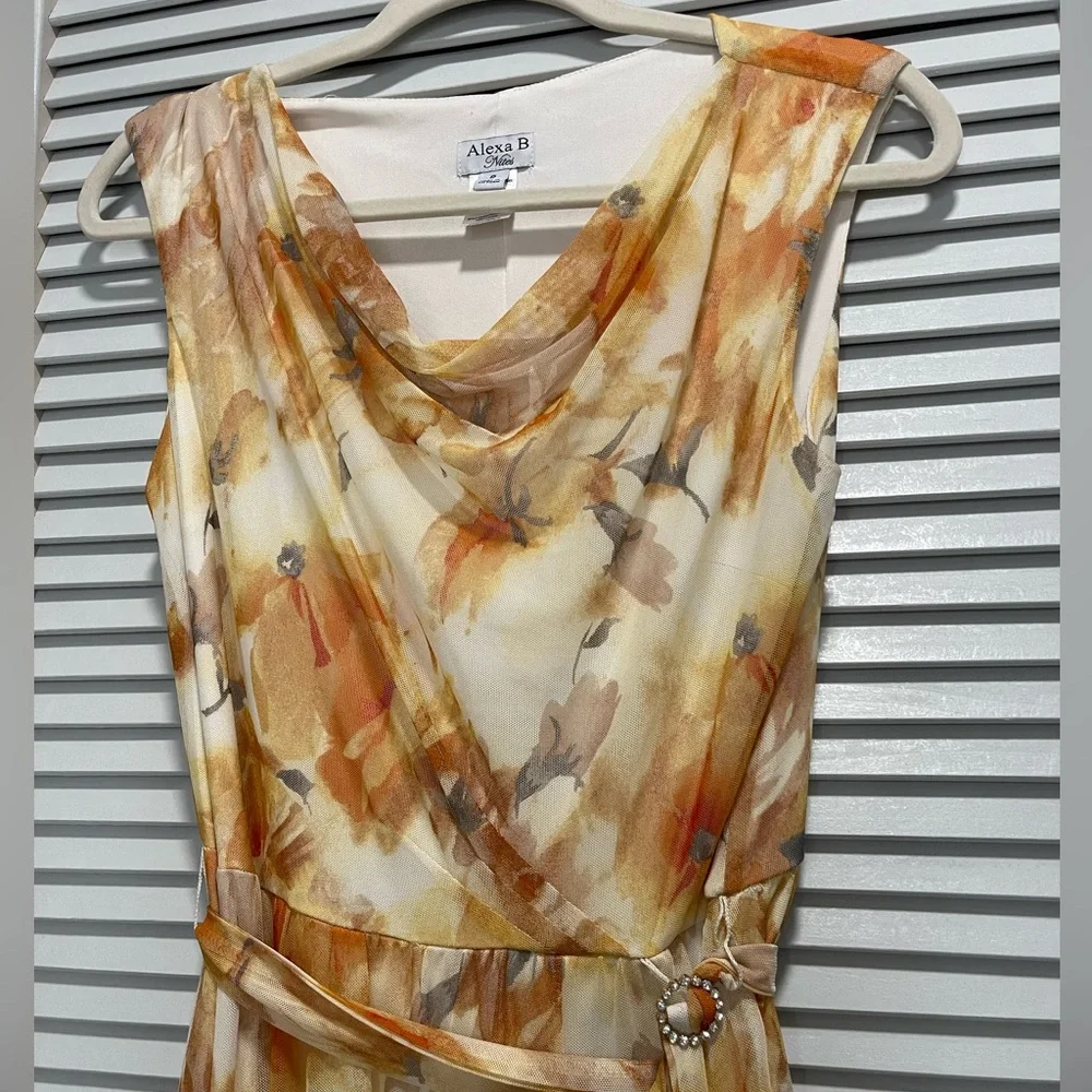 Sundress - Picture 3 of 6